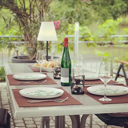 Apartmán Altes Winzerhaus Am Moselufer - Sonnenlay Traben-Trarbach